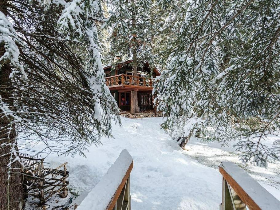Treehouse On The Stream Sundance, Utah Villa Exterior photo